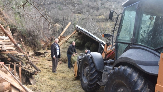 Artvin'de heyelan; ahır çöktü 2 büyükbaş öldü