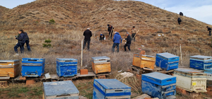 Zara'da 10 bin badem tohumu toprakla buluşturuldu