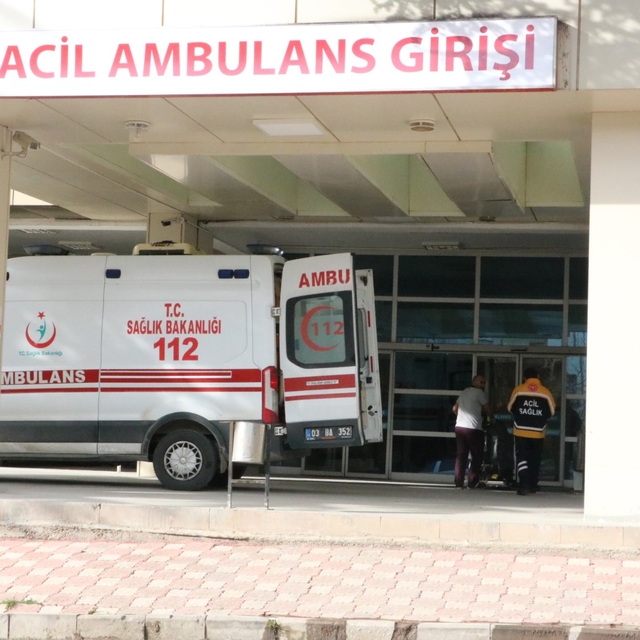 Afyonkarahisar'da kestiği ağacın altında kalan genç öldü