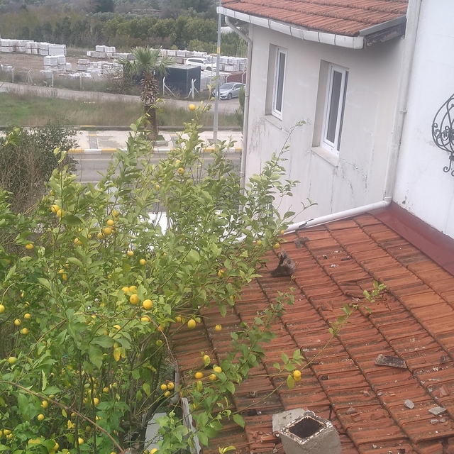 İzmir'de fırtınada zarar gören okulda eğitime 3 gün ara verildi