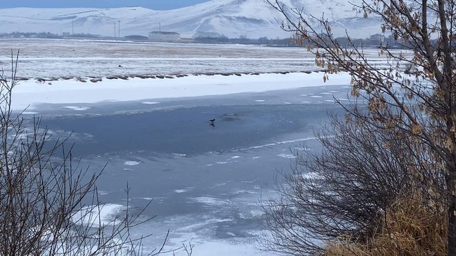 Ardahan'da Kura Nehri'nin yüzeyi buz tuttu