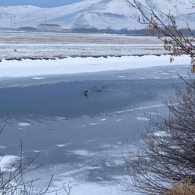 Ardahan'da Kura Nehri'nin yüzeyi buz tuttu