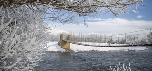 Tunceli'de soğuk hava nedeniyle ağaçlar kırağı tuttu