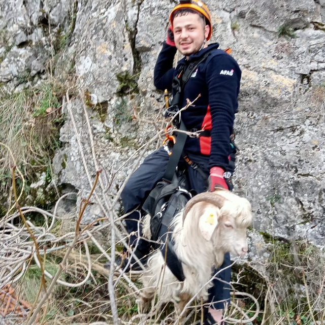 3 gün kayalıklarda mahsur kalan keçiyi AFAD kurtardı