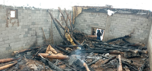 Bitlis'te ahırda çıkan yangında 115 küçükbaş hayvan telef oldu