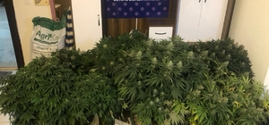 Antalya'da uyuşturucu operasyonunda 1 kişi tutuklandı