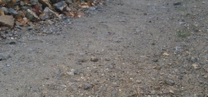 Malatya'da nesli tehdit altındaki "sarı benekli semender" görüldü