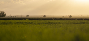 Nurdağı ve İslahiye'de tarım arazileri devlet desteğiyle yeşilleniyor