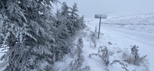 Tokat'ta kar yağışı etkili oldu