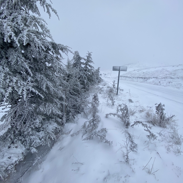 Tokat'ta kar yağışı etkili oldu