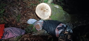 Bartın'da kestiği ağacın altında kalarak öldü