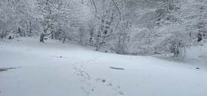 Karamürsel'de yüksek kesimlerde kar etkili oldu