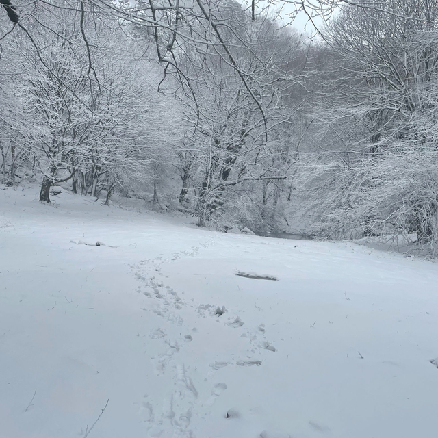 Karamürsel'de yüksek kesimlerde kar etkili oldu