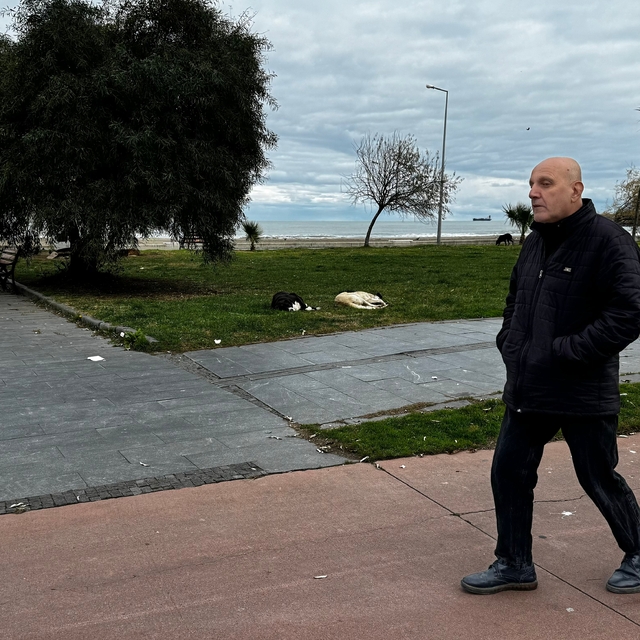 Samsun'un Atakum ilçesinde yaşayanlar sahildeki sahipsiz köpeklerden şikaye...