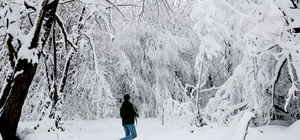 Çam Dağı ormanları karla kaplandı