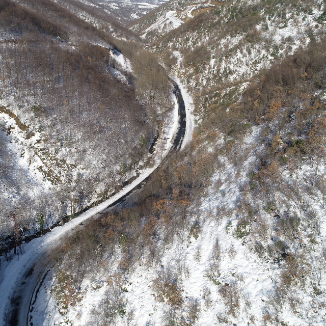 Ganos Dağı eteklerindeki ormanlarda kış güzelliği