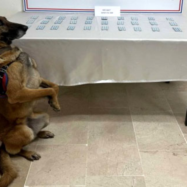 Sivas'ta 600 sentetik hap ele geçirildi