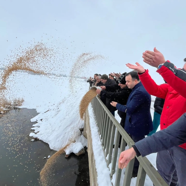 Çaldıran'da yaban hayvanları için doğaya yem bırakıldı