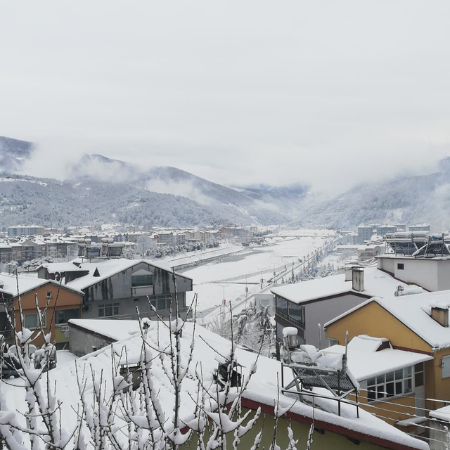 Ayancık'ta kar yağışı etkili oldu