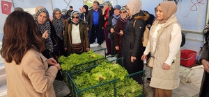 Kocaeli'de kadın çiftçiler, AR-GE serasında incelemelerde bulundu