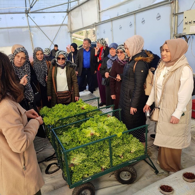 Kocaeli'de kadın çiftçiler, AR-GE serasında incelemelerde bulundu