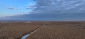 Göçmen kuşların kışladıkları Gala Gölü'nde yasa dışı avcılığa yönelik denet...