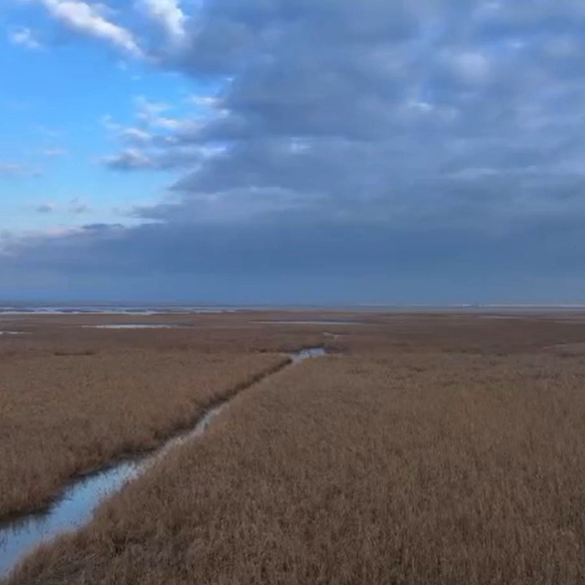 Göçmen kuşların kışladıkları Gala Gölü'nde yasa dışı avcılığa yönelik denet...