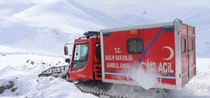 Rahatsızlanan 4 kardeş, karlı yolun açılması ile hastaneye götürüldü