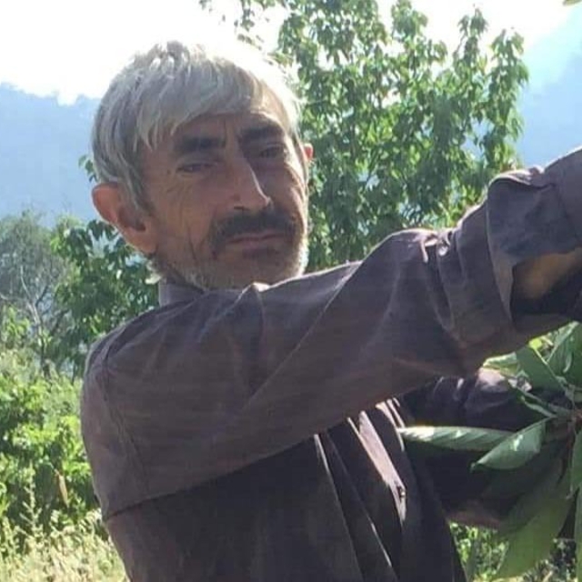 Kestiği ağacın altında kalan çiftçi öldü