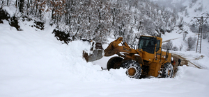 Bitlis'te karla mücadele ekipleri köy yollarını açmak için mesai yapıyor