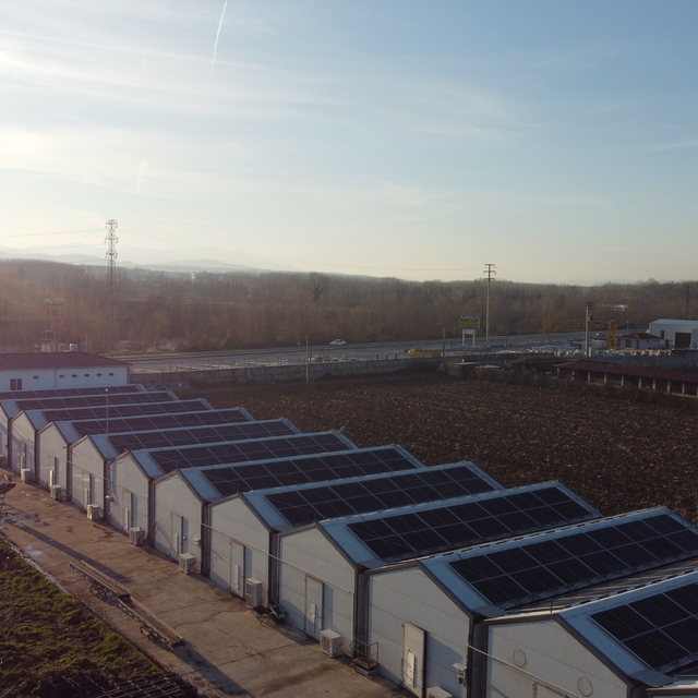 Sakaryalı girişimci çift, devlet desteğiyle kurdukları tesiste yıllık 200 t...