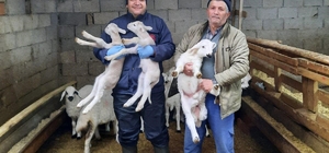 Beyşehir'den kısa kısa