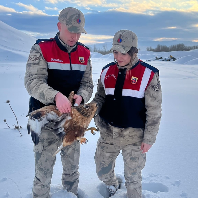 Van'da yaralı bulunan kızıl şahin koruma altına alındı