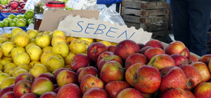 Seben elmasının üretimi 19 yılda yüzde 52 düştü