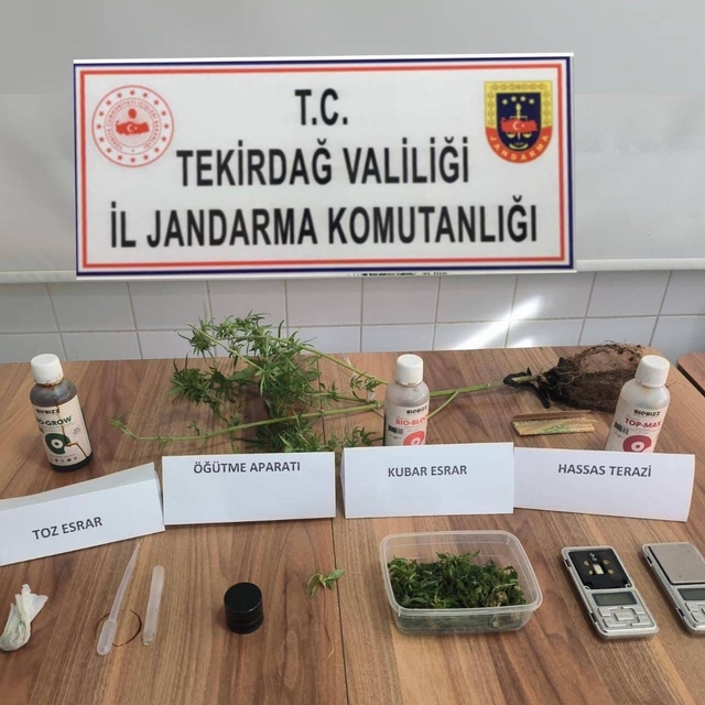 Tekirdağ'da evinin çatısında kenevir yetiştiren şüpheliye gözaltı