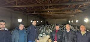 Ulaş'ta sürü yönetimi kursu açıldı