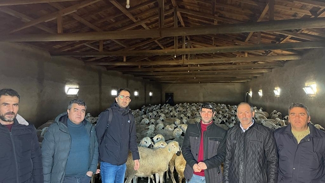 Ulaş'ta sürü yönetimi kursu açıldı