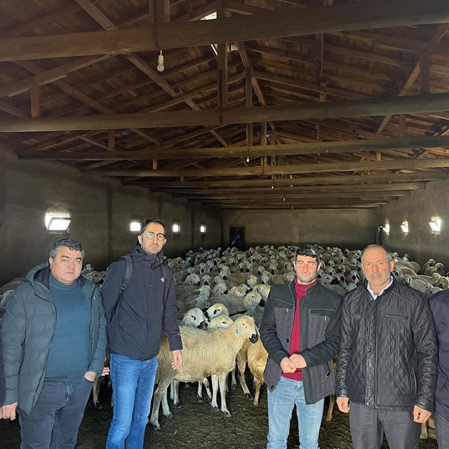 Ulaş'ta sürü yönetimi kursu açıldı