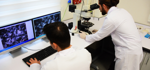 Bilecik'te doğal taş testlerinin yapıldığı merkez uluslararası standartlard...