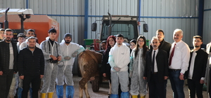 TOGÜ öğrencilerine çiftlikte uygulamalı eğitim verildi