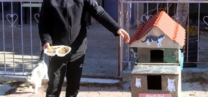 Nüfusun 25'e düştüğü mahallede kediler için 'kedi yuvası' yaptırdı