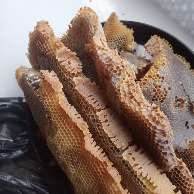 Düzce'de arıların petek yaptığı valizden 8 kilogram bal çıktı