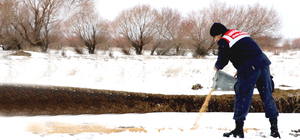 Ağrı'da jandarma ile DKMP ekipleri yaban hayvanları için doğaya buğday bıra...