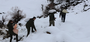 Siirt'te yaban hayvanları için doğaya yem bırakıldı