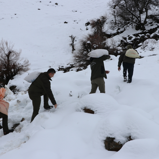 Siirt'te yaban hayvanları için doğaya yem bırakıldı