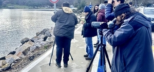 Sinop'ta su kuşlarının sayımı yapıldı