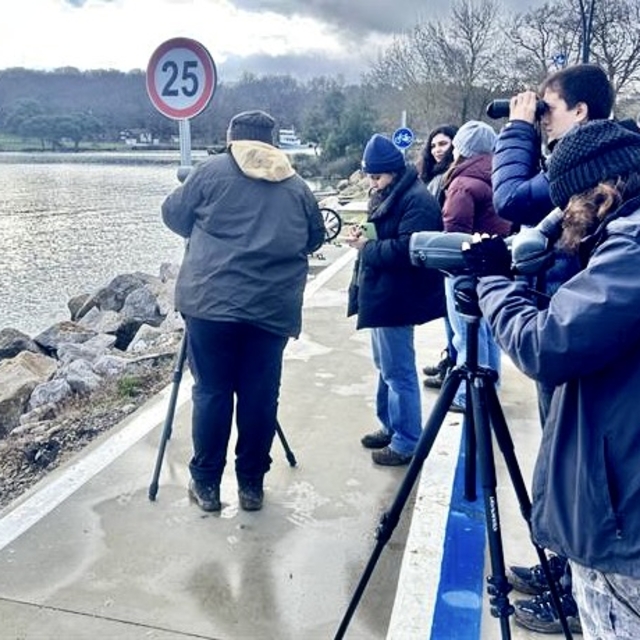Sinop'ta su kuşlarının sayımı yapıldı