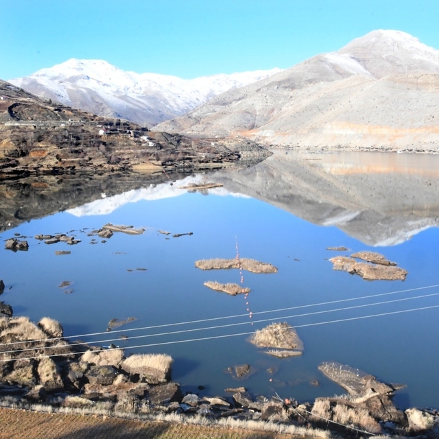 Adıyaman'da "yüzen adalar"ın korunmasına yönelik çalışma yapılıyor