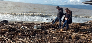 Burhaniye'de plaj, selle taşınan dal parçaları ve çöplerden temizleniyor