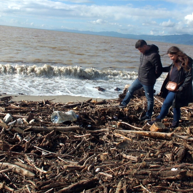 Burhaniye'de plaj, selle taşınan dal parçaları ve çöplerden temizleniyor